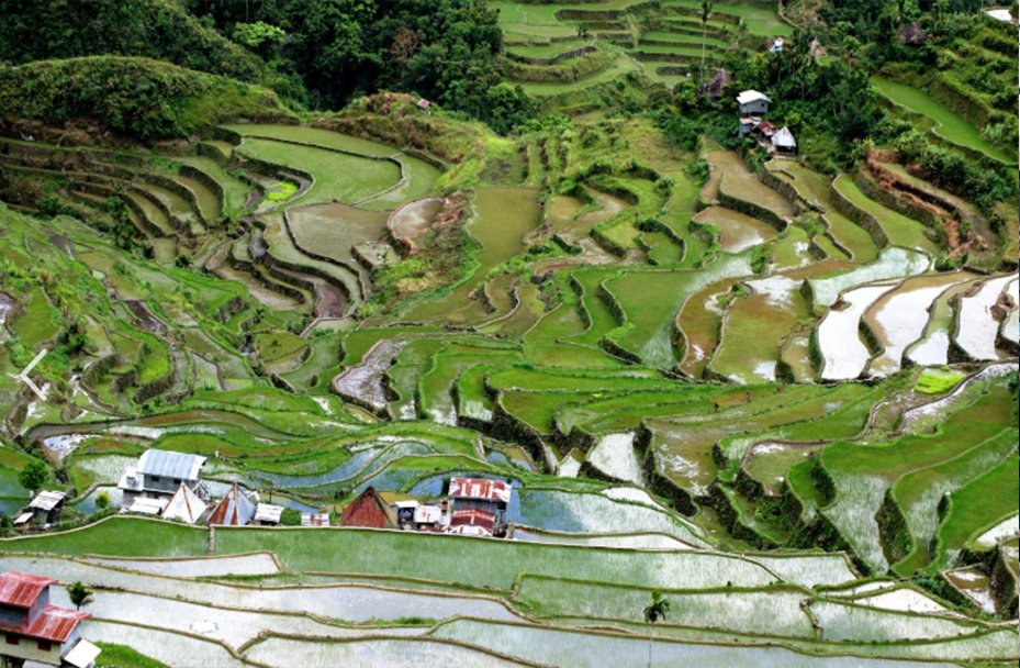 当地风景3